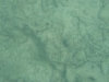 Snorkelen Long Beach