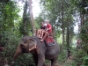 Klik om te vergroten Wij op Cherley-de-olifant