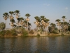 Liwonde national park.