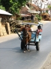 Ben Hur (Lombok).