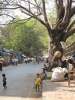 Klik om te vergroten straatkindje in mumbai
