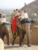 Klik om te vergroten Dombo - Jaipur