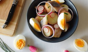 Recettes De Hareng Et De Pomme De Terre