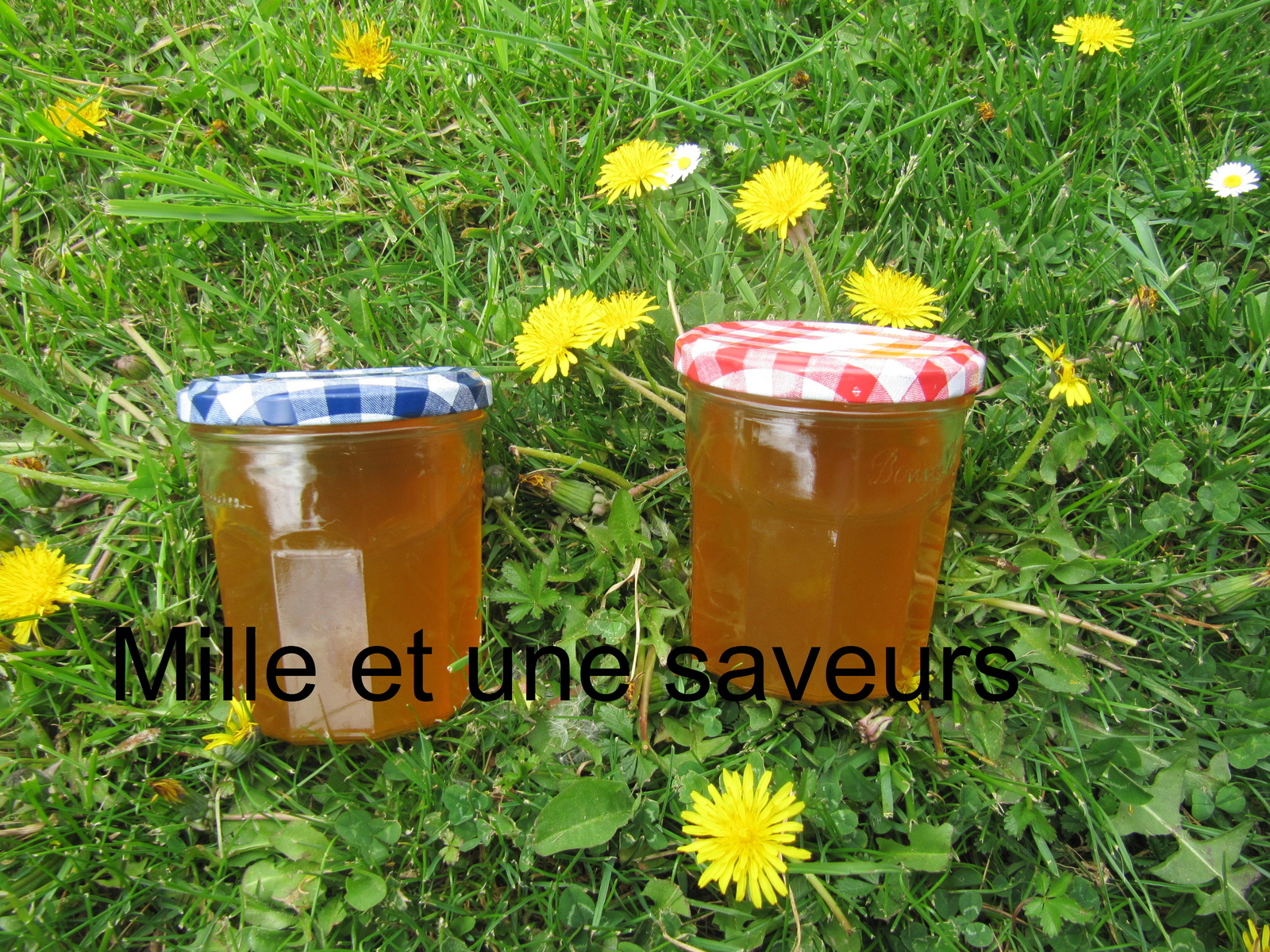 Confiture De Fleurs De Pissenlit Thermomix Gelée de pissenlits - Recette par jolivet