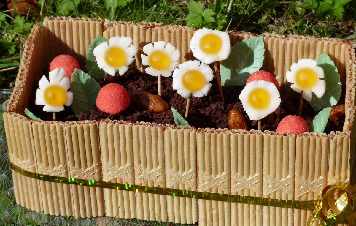 Jardiniere De Chocolat Recette Par Docteur Chocolatine