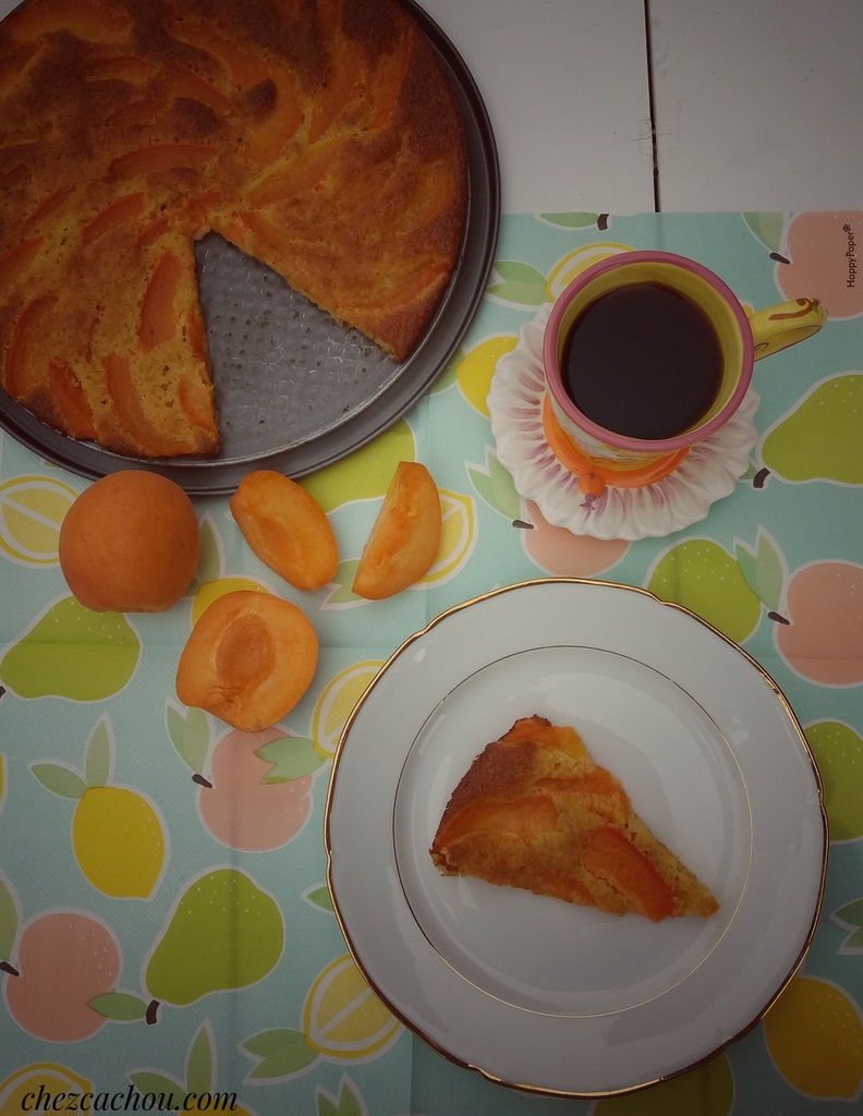 Gateau Light Aux Abricots Recette Par Chezcachou