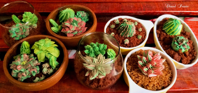 Gateaux Succulentes Et Cactus Au Glossy Buttercream Des Terrariums En Dessert Recette Par Chaud Patate