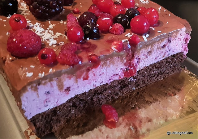 Gateau Buche Au Mascarpone Et Fruits Rouges Recette Par Catalina Le Blog De Cata