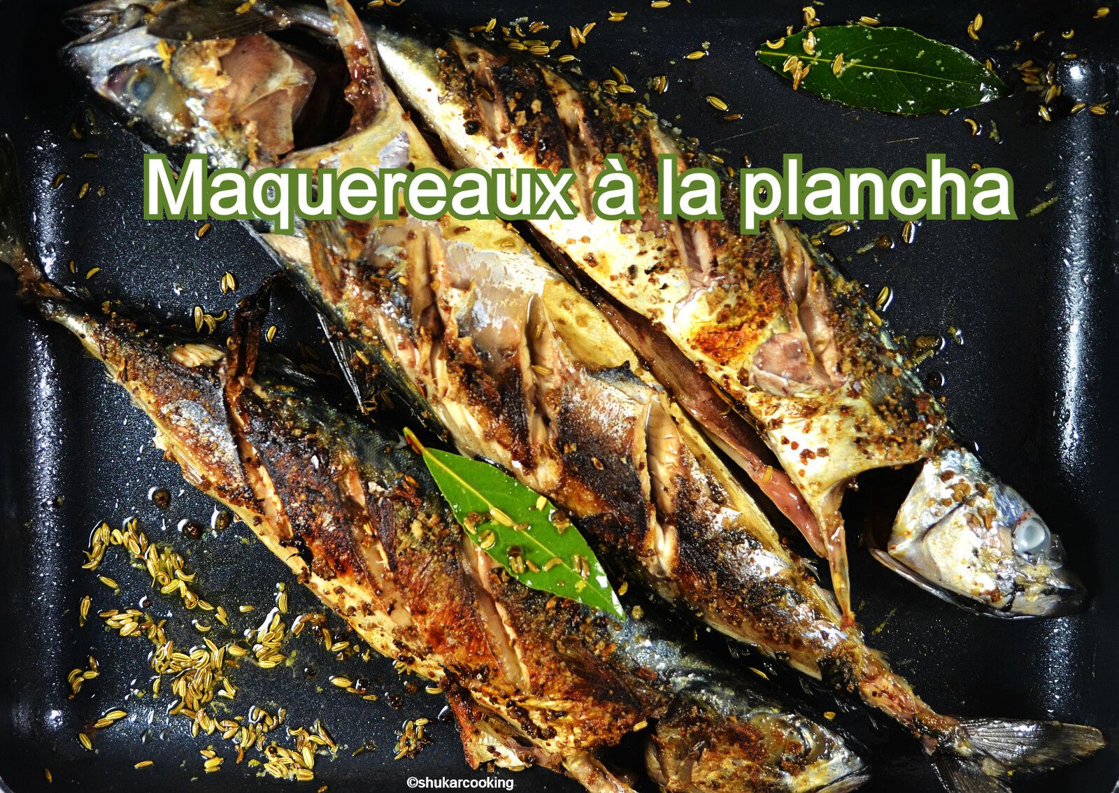 Sauce Pour Maquereau à La Plancha Maquereaux fenouil et genièvre cuits à la plancha - Recette par  shukarcooking