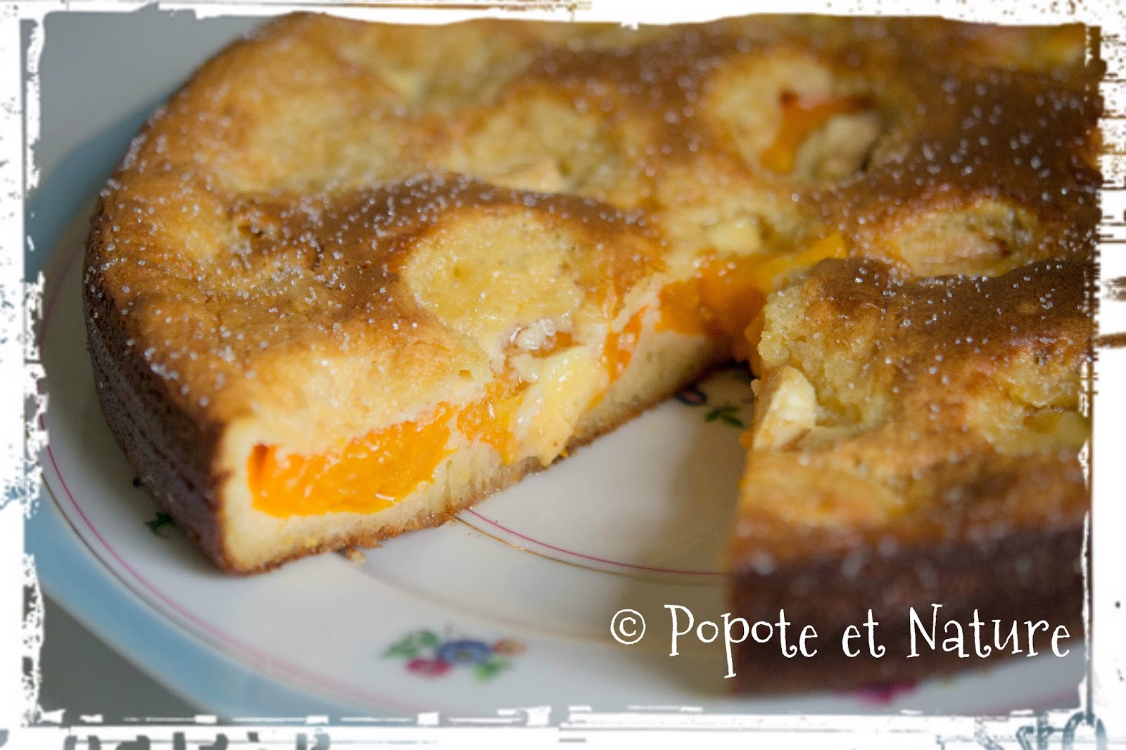 Gateau Croustimoelleux Aux Abricots Et Au Chocolat Blanc Recette Par Popote Et Nature