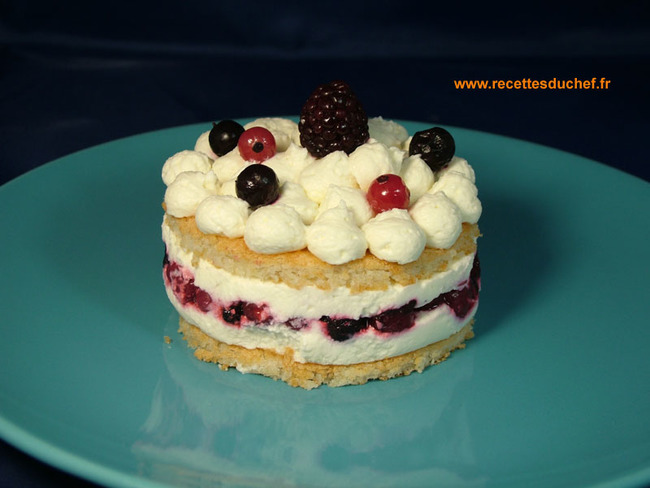 Entremets Dacquoise Et Fruits Rouges Recette Par Recettes Du Chef