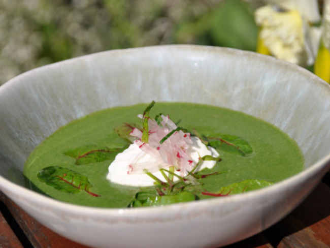 Le radis, une racine qui ne manque pas de piquant