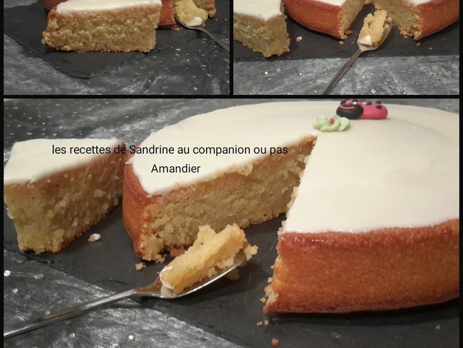 Amandier Ou Gateau Fondant Aux Amandes Sans Gluten Recette Par