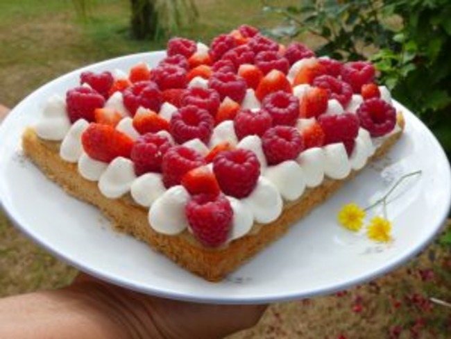 Tarte Fraise Framboises Et Rhubarbe Recette Par La Prune Patissiere
