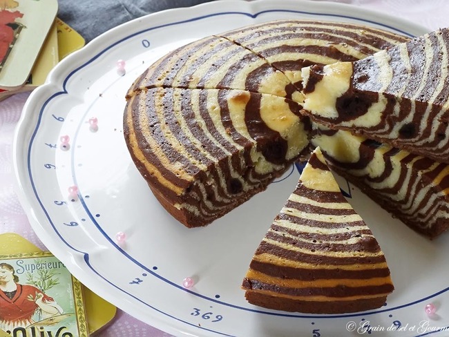 Zebra Cake Cake Zebre Gateau Marbre Recette Par Grain De Sel Et