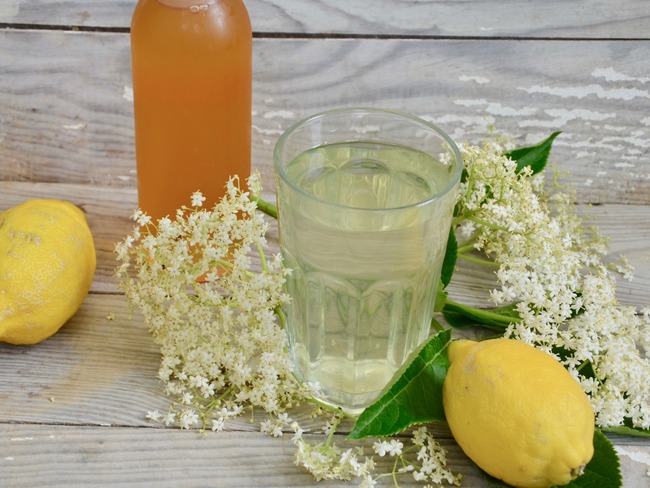 Sirop De Fleurs De Sureau