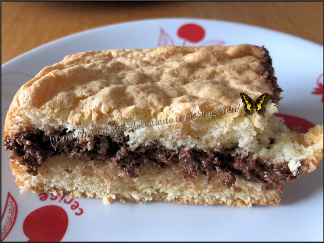 Genoise Fourree Au Nutella Avec Le Cake Factory Recette Par Ma