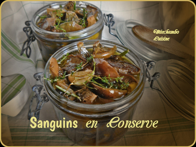 Sanguins Champignons Conserves Dans L Huile D Olive Recette