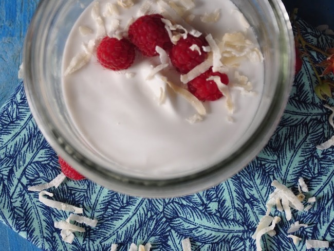 Recette De Yaourts Maison A La Noix De Coco