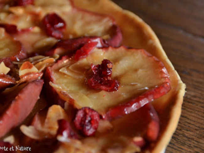 Tarte Aux Pommes Aux Cranberries Et Gelee De Pommes Maison Recette Par Popote Et Nature