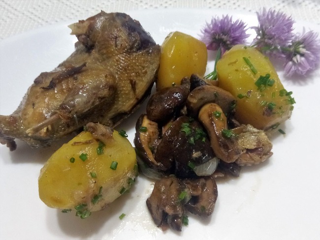 Recette Palombe Confite à La Graisse De Canard chefsimon.com