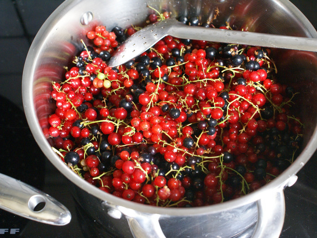 Gelée Et Sirop De Groseilles Et Cassis