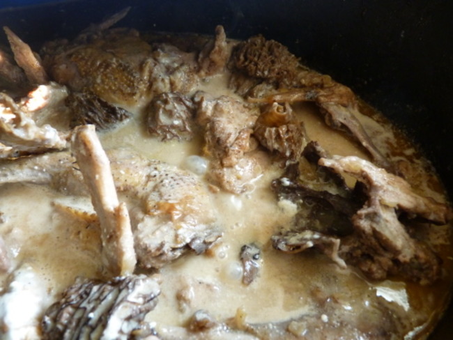 Poule Faisane Au Vin Jaune Et Morilles
