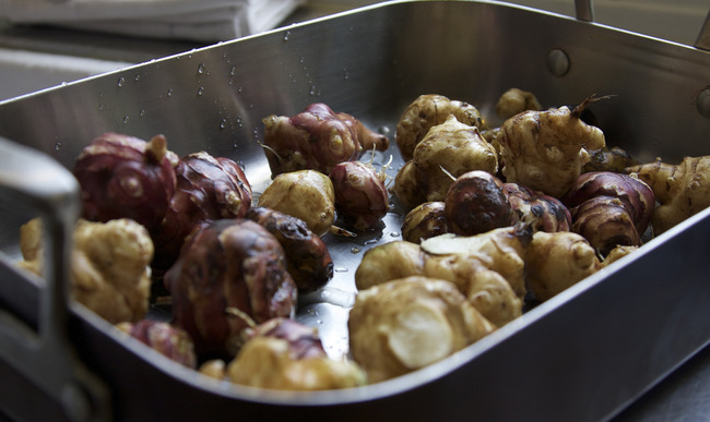 Idées de recettes à base de topinambour