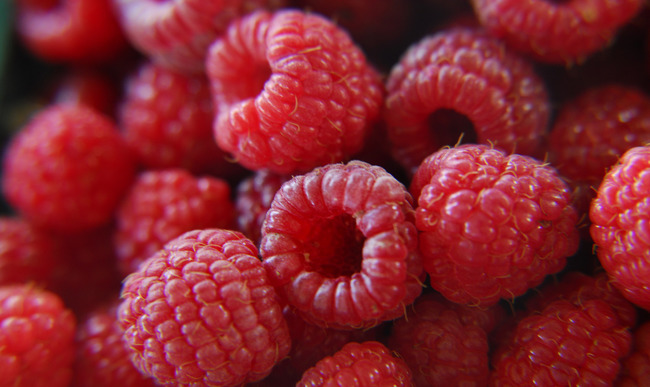 Recettes de framboises et de fruits rouges
