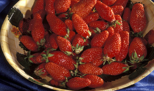 Recettes De Gariguette Et De Creme Au Beurre