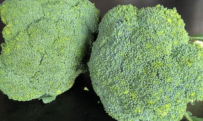 Recettes De Brocoli Et D Entree