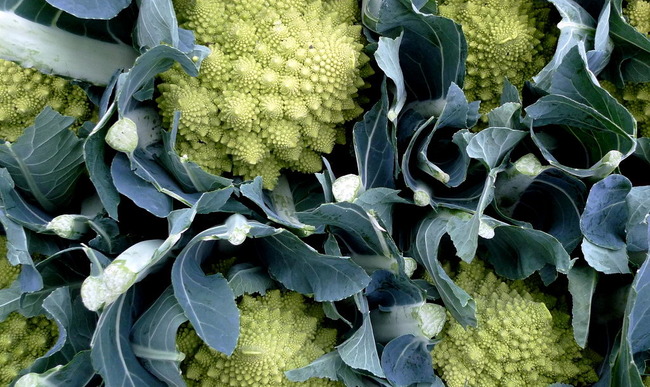 Recettes De Chou Romanesco Et De Chou Fleur