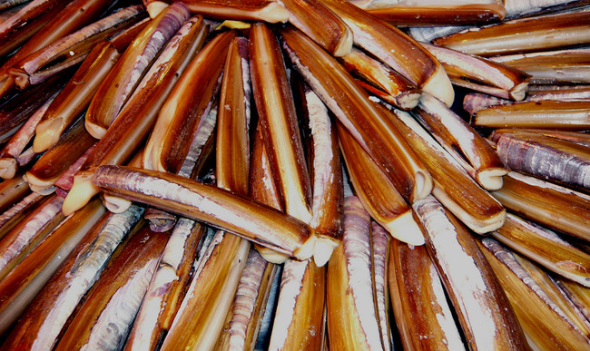 Découvrez nos recettes originales et faciles de couteaux à déguster en ...