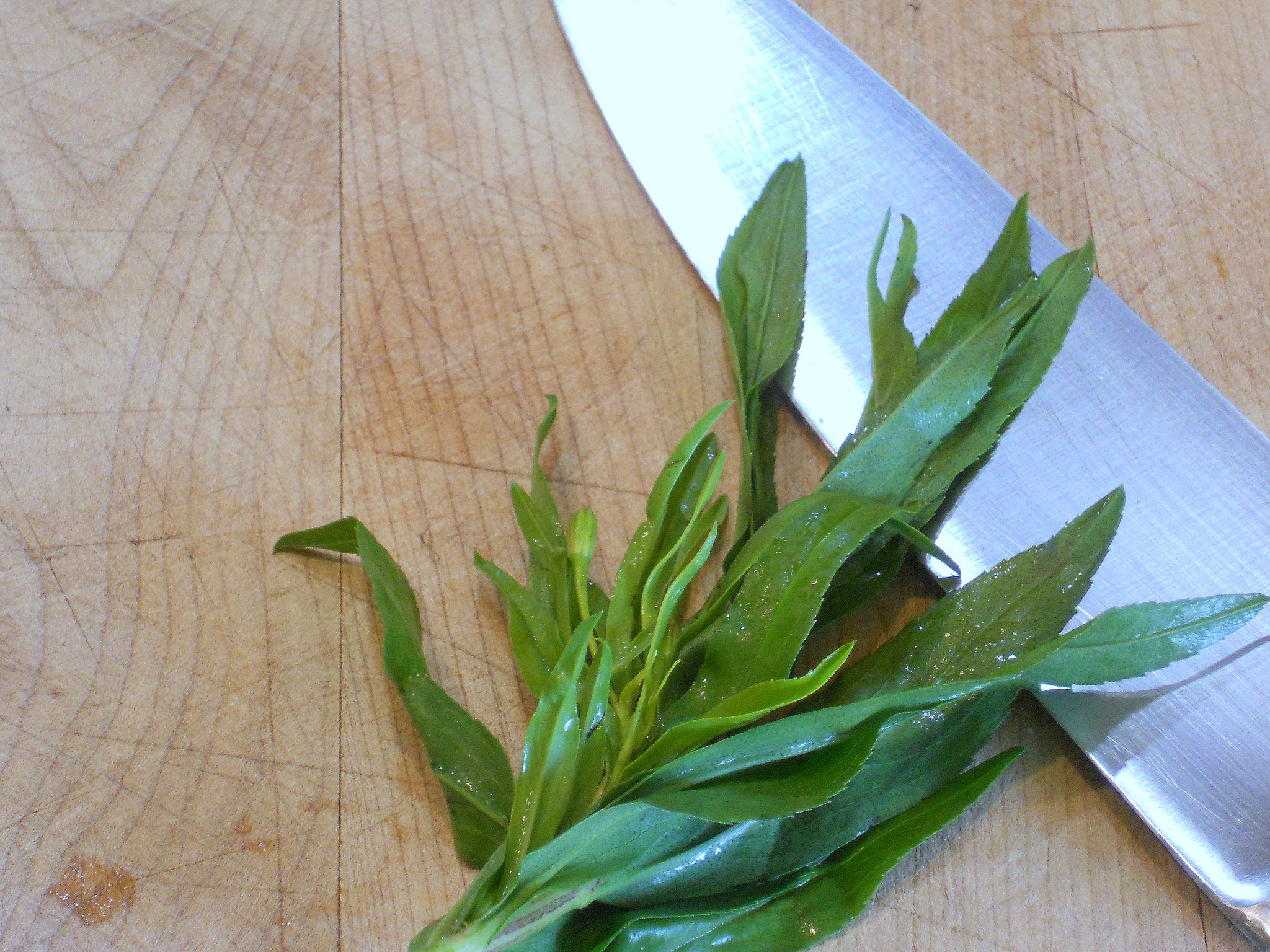 L'estragon aromatise délicieusement une grande variété de recettes du