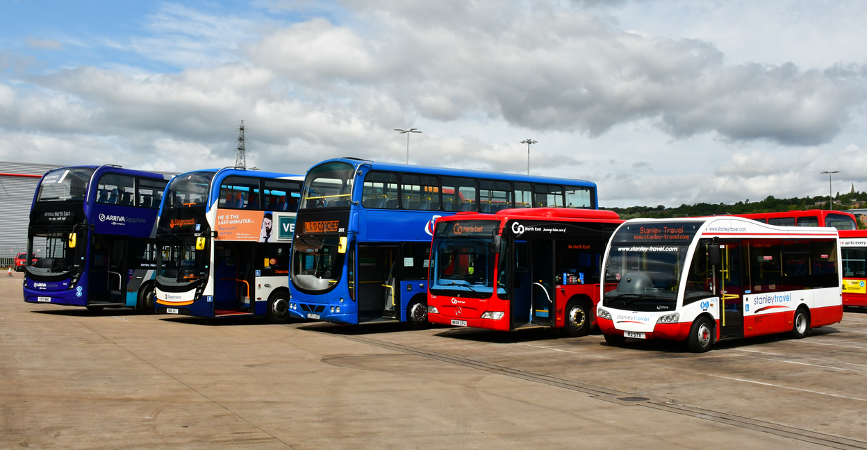 Lineup of buses from operators that make up NEbus