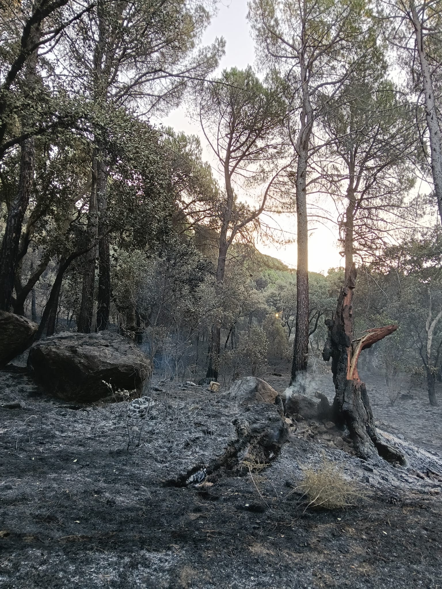 Fotos del incendio facilitada por las autoras