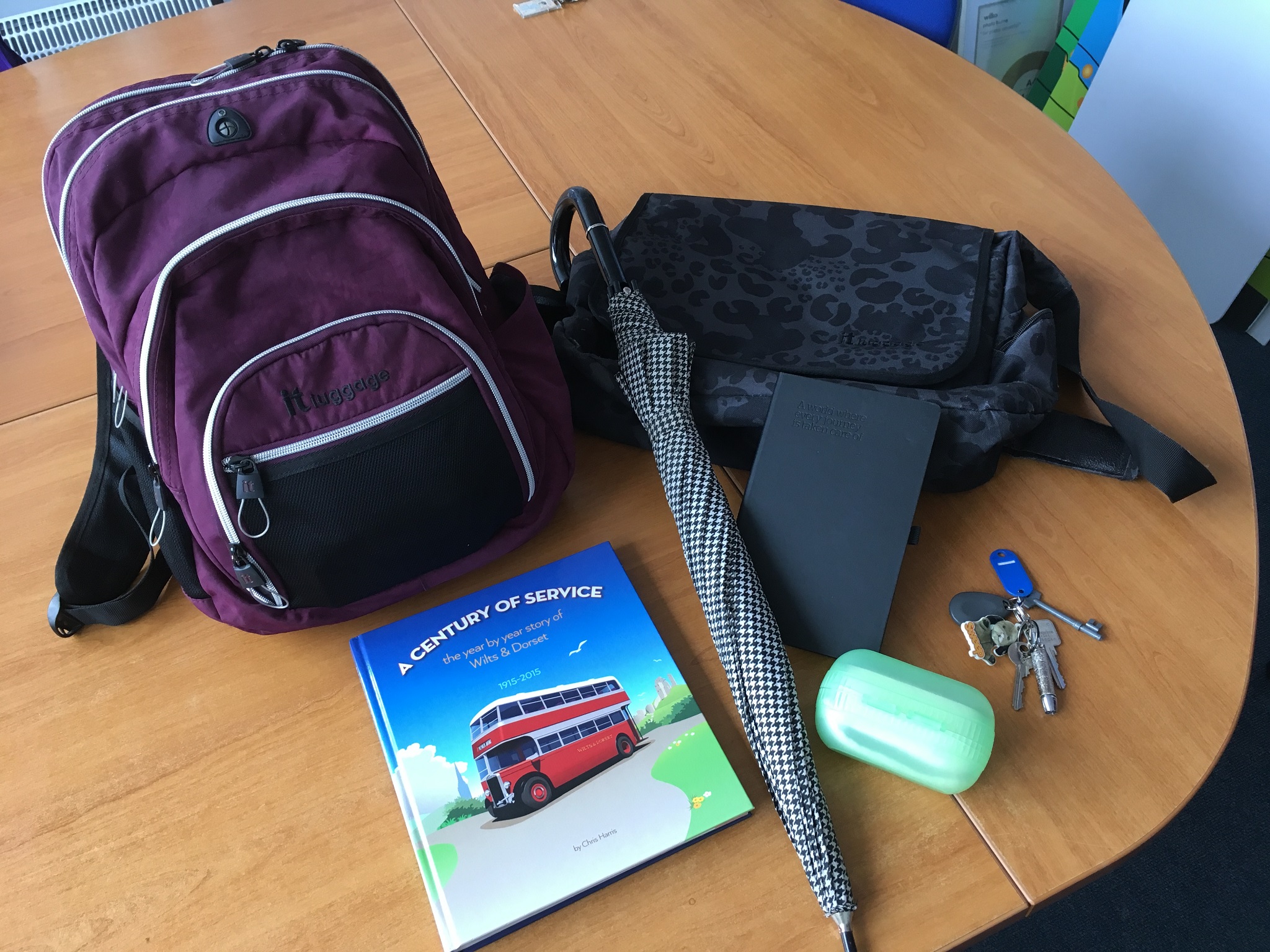 Salisbury Reds lost property