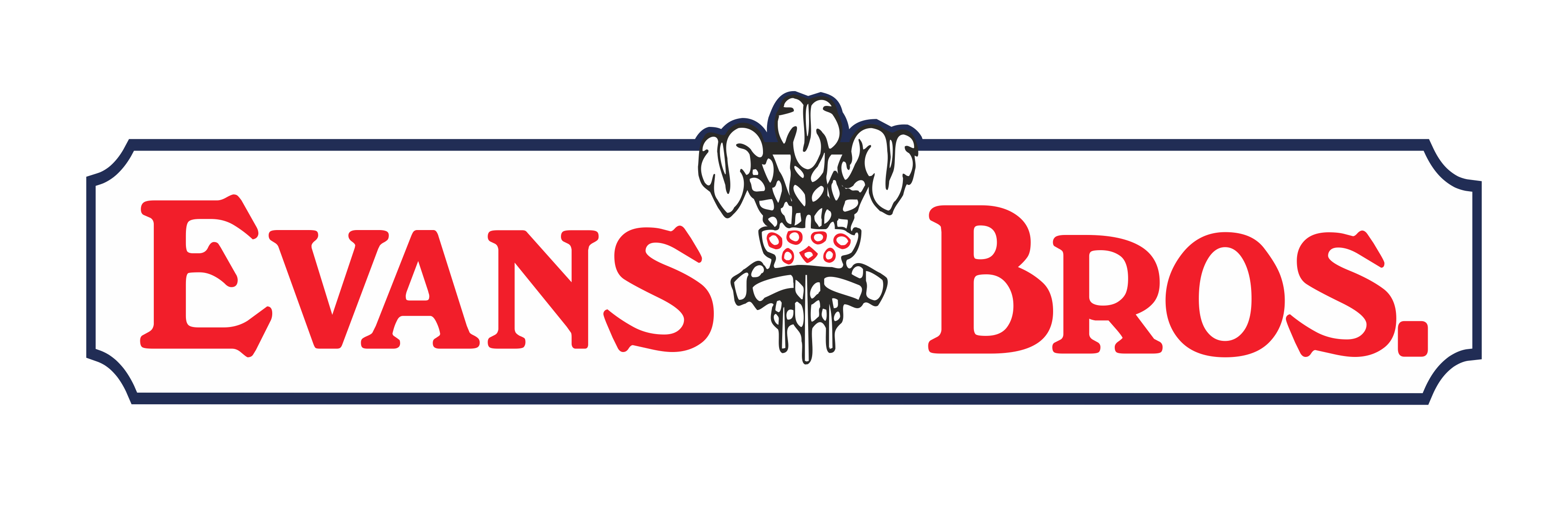 Evans Bros - Lampeter