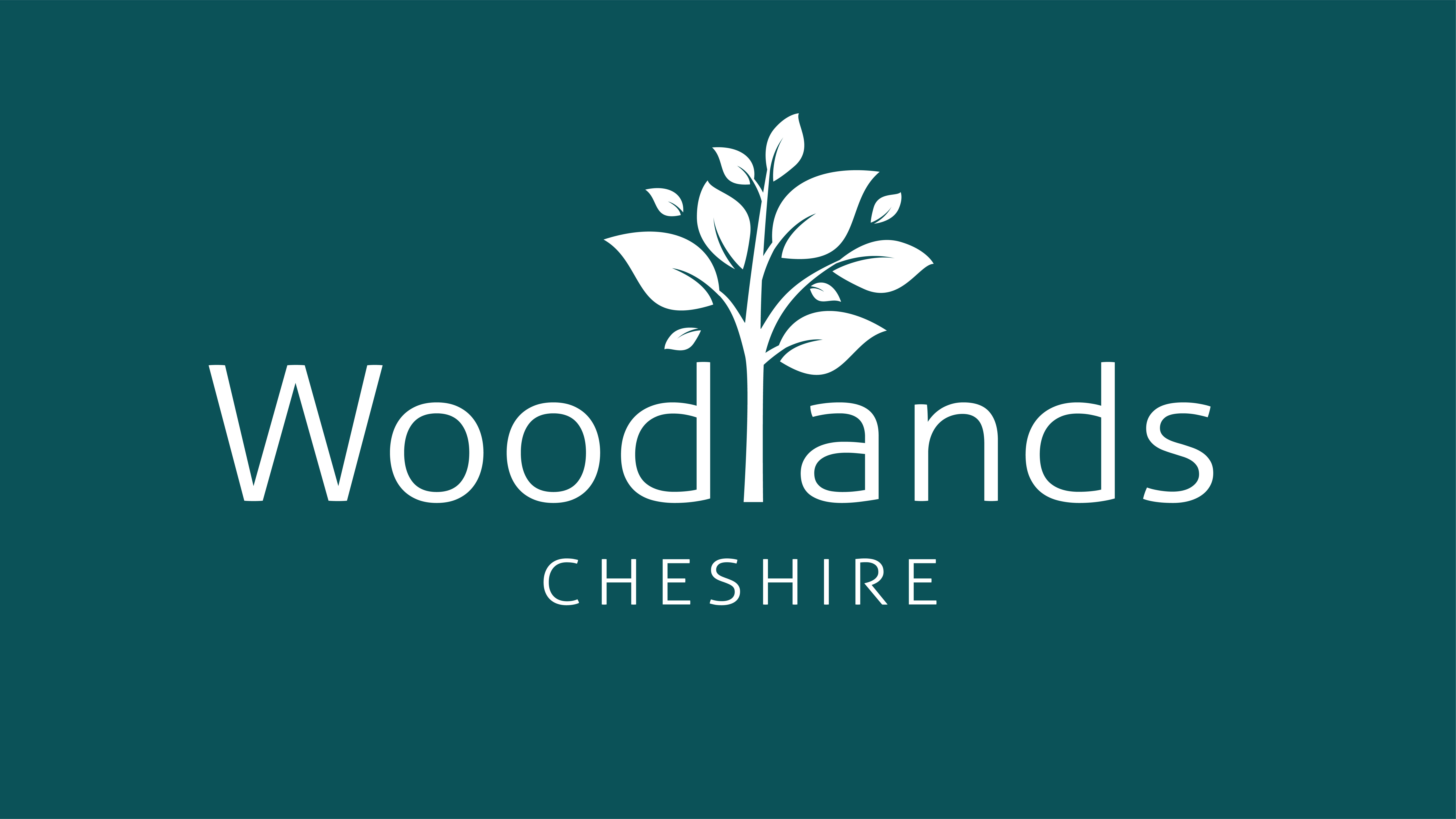 Woodlands - Woodlands