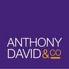 Anthony David & Co