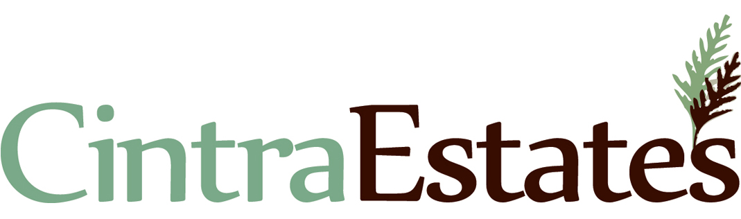 Cintra Estates - Reading