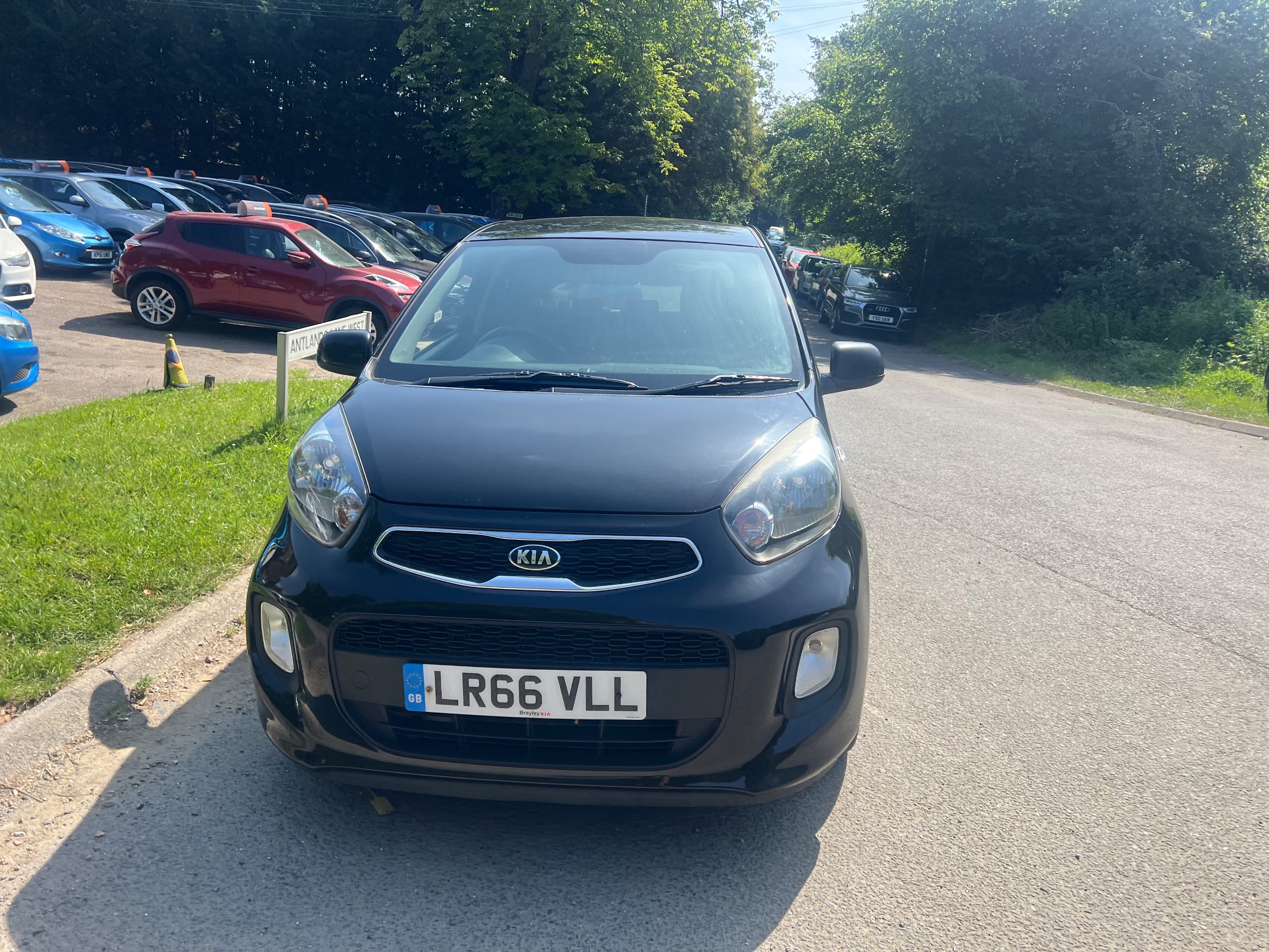 Used Kia Picanto for sale