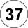 Route 37