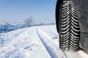 Suzuki's winter tyre programme