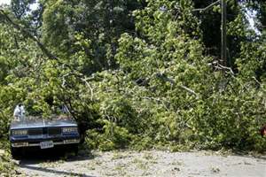 Windy weather driving tips