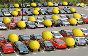 Spot the lemon