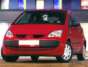 Birds prefer red cars