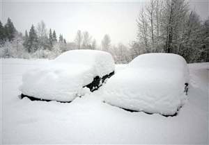 Cold morning car thefts
