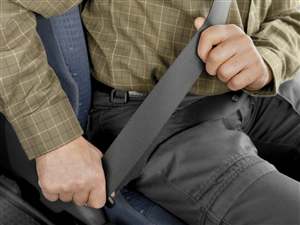 30 years of seatbelts