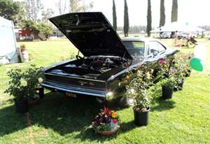Bullitt Charger up for sale